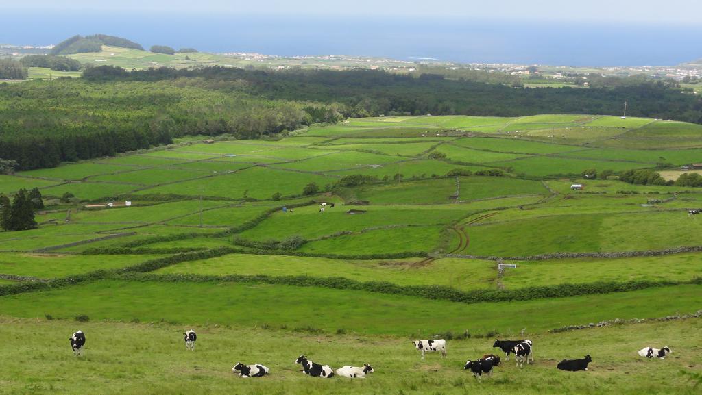 Quinta Do Chico Feijao Villa Lajes Ruang foto